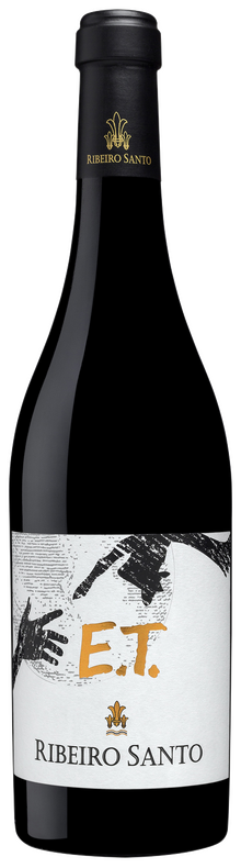 E.T. Ribeira Santo 2019