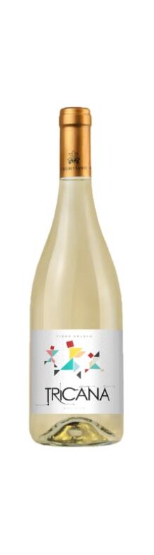 Tricana Branco 2024